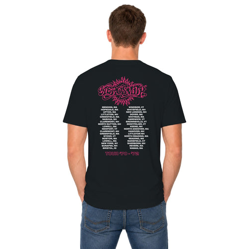 Aerosmith Retro Band Logo Men's T-shirt